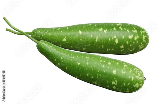 фотографія Calabash Squash