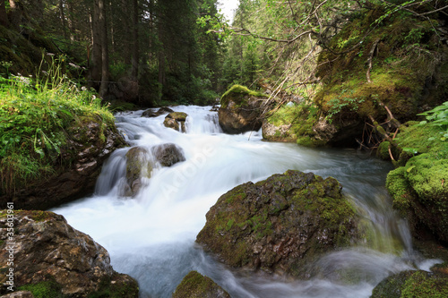 small stream - ruscello di montagna