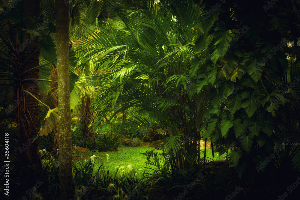 jungle jungle