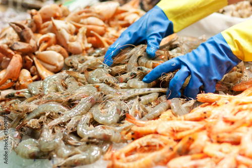 Crevettes, étalage de poissonnier