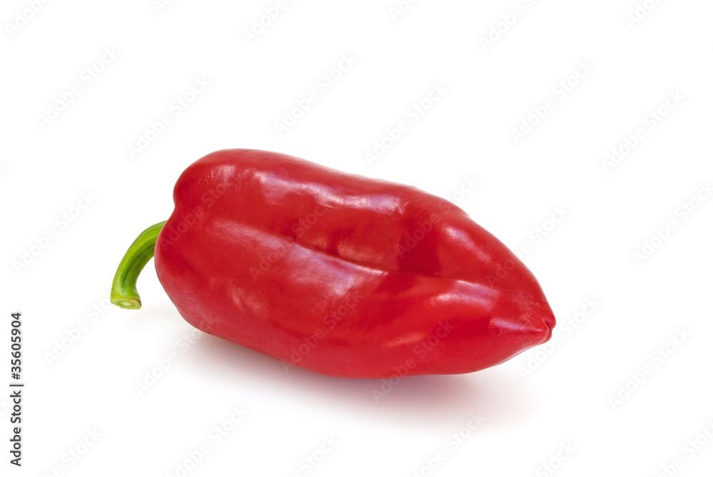 Spitzpaprika Spitzpaprika