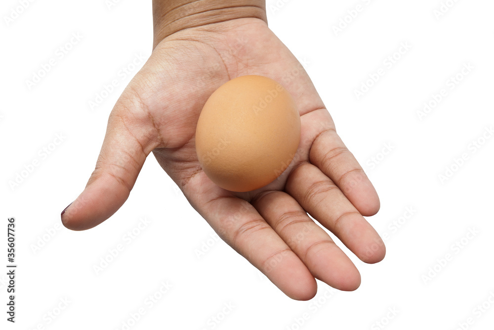 Eggs in Hand,Isolated in white background Eggs in Hand,Isolated in white background