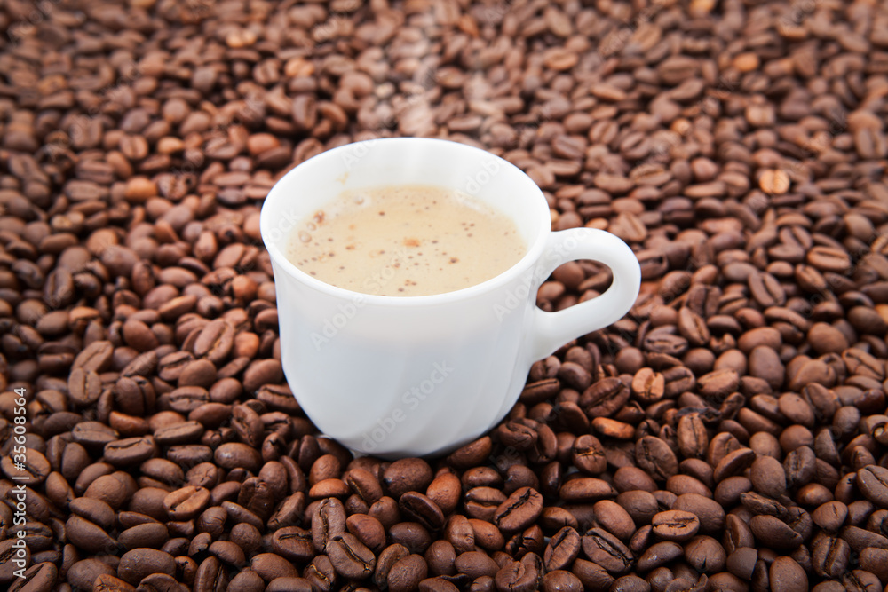 Coffee Coffee
