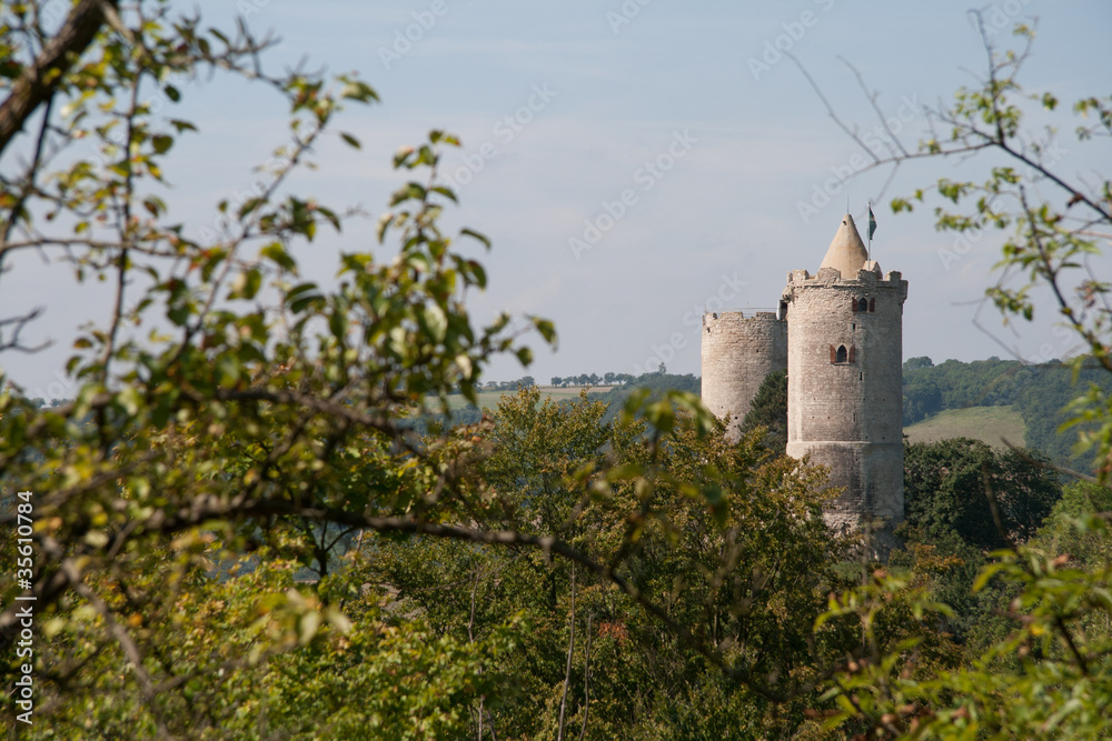 Burg Saaleck