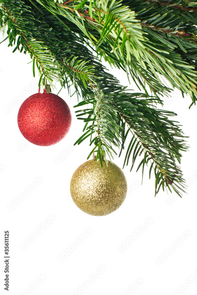 rote Christbaumkugeln an Tannenzweig isoliert auf weiß rote Christbaumkugeln an Tannenzweig isoliert auf weiß