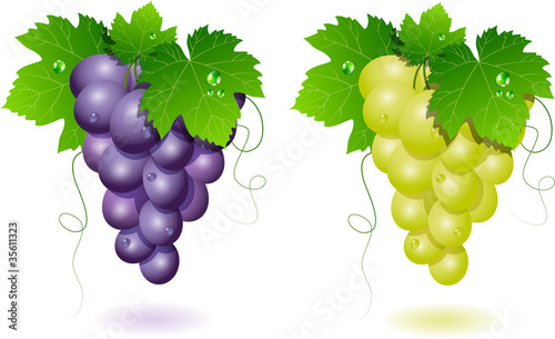 Grapes