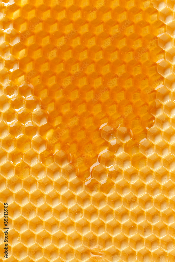 fresh honey in comb fresh honey in comb