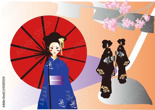 京都と舞妓  geisha girl in kyoto
