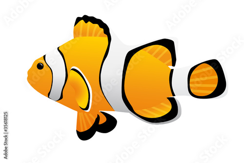 Clownfisch
