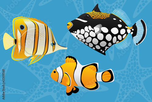 Rifffische