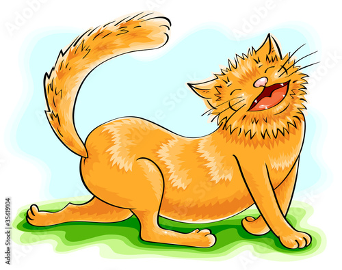 funny ginger cat