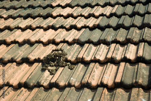Goan tiled roof texture