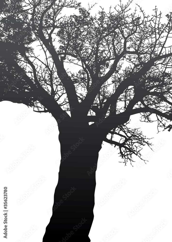 black tree black tree