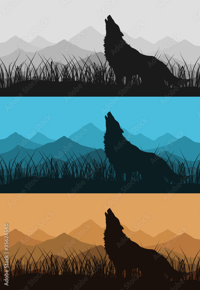 Fototapeta premium The wolf howls against mountain. A vector illustration