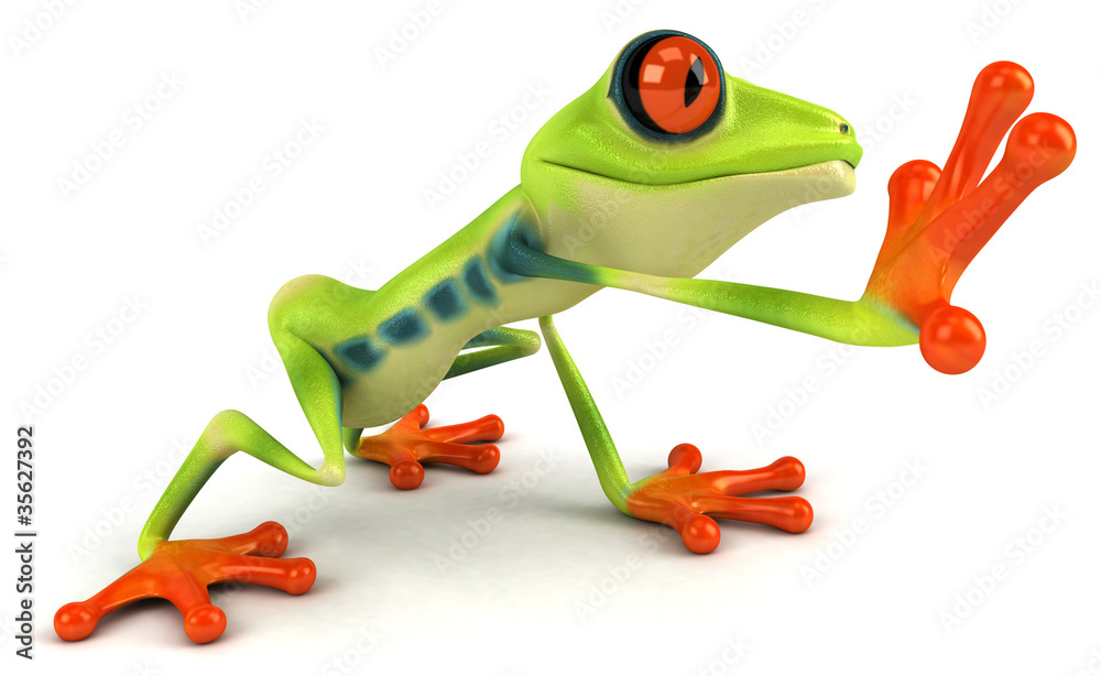 Fototapeta premium Grenouille