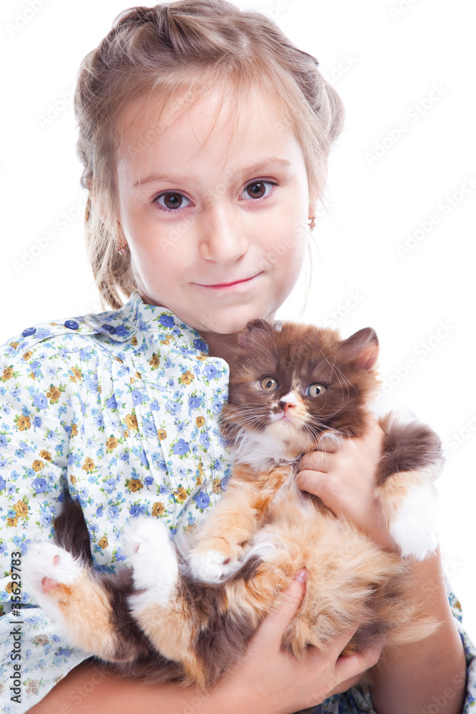 girl gently embracing tortoise British kitten girl gently embracing tortoise British kitten