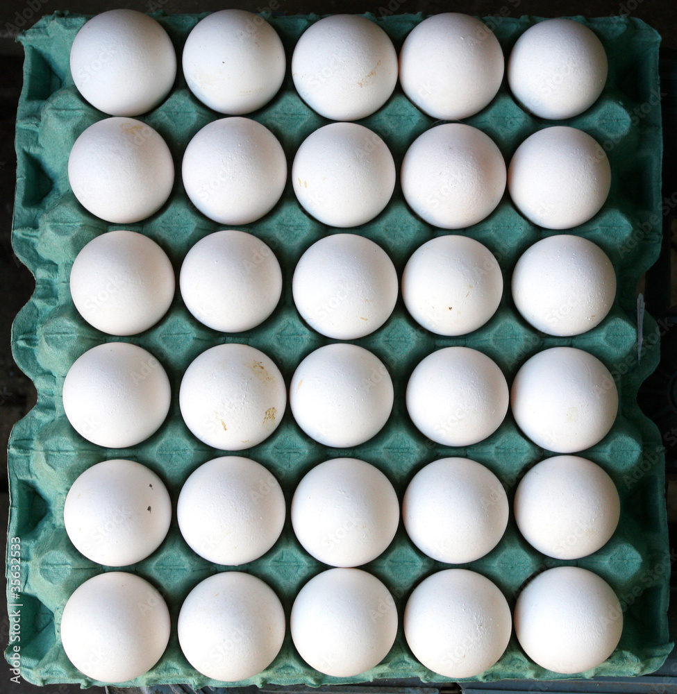 white eggs white eggs