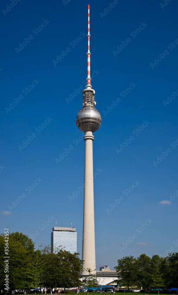 Fototapeta premium Berliner Fernsehturm