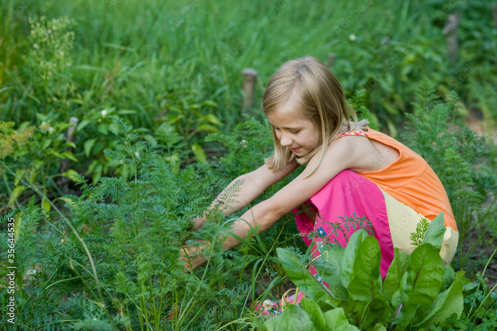 garden girl garden girl