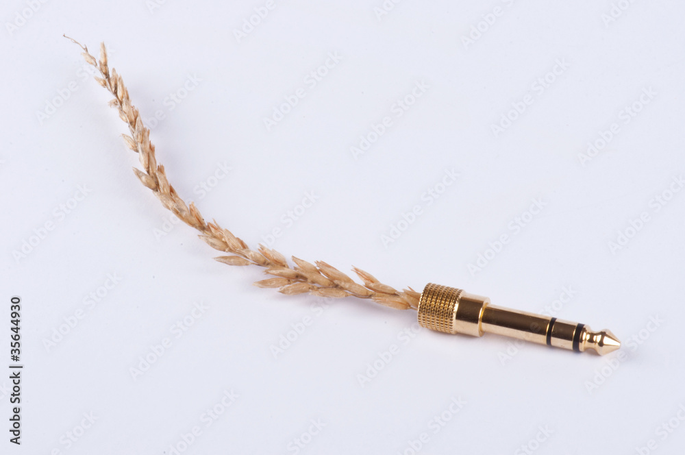 Fototapeta premium A spice in an audio plug #1