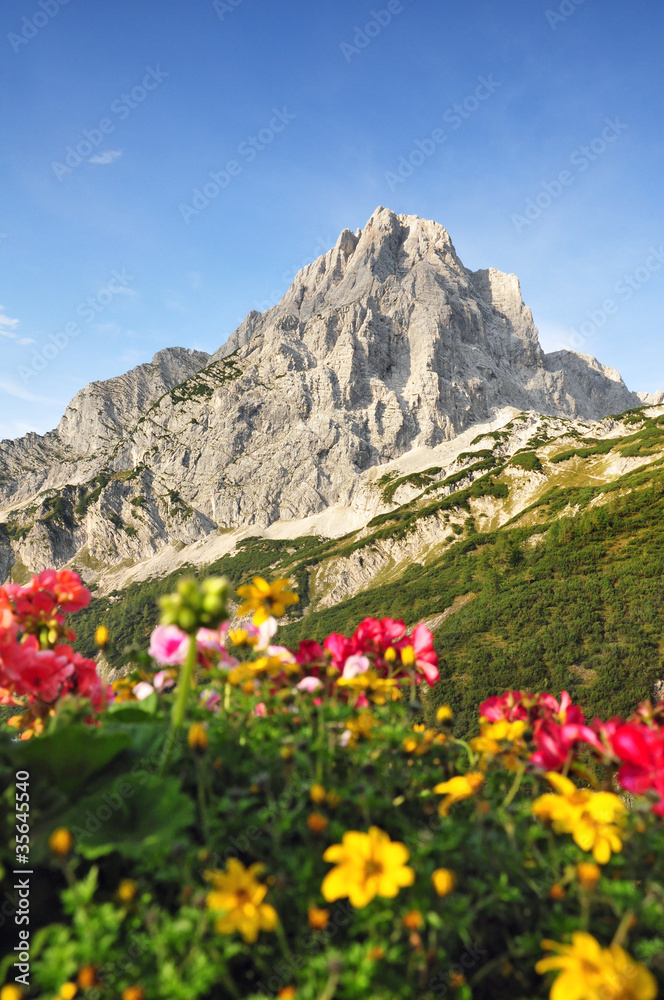 Austria alps in summer Austria alps in summer