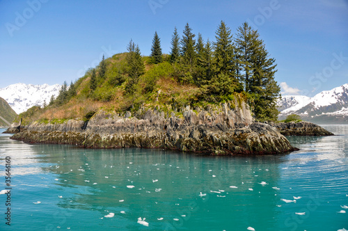 Slate island in Aialik bay, Kenai Fjords NP, Alaska photo