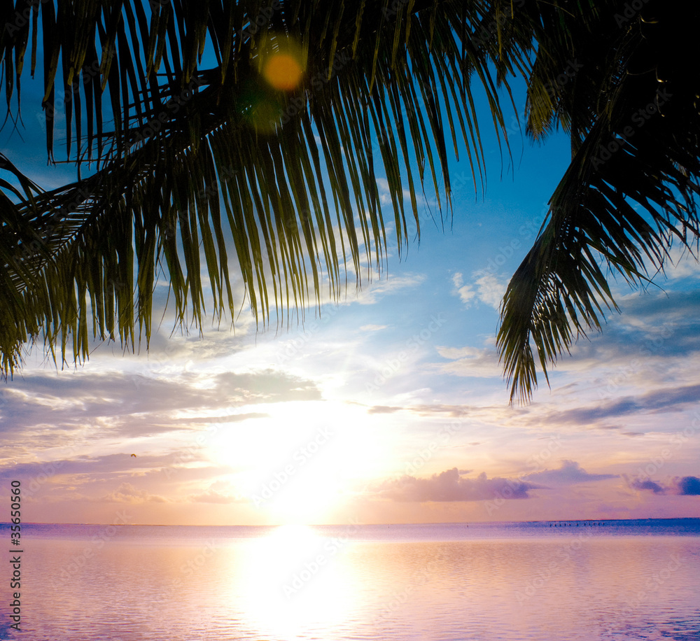 Outdoor Paradise Beach