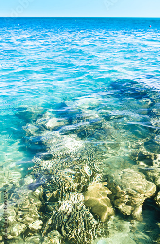 Fototapeta Naklejka Na Ścianę i Meble -  Warm Coral Sea