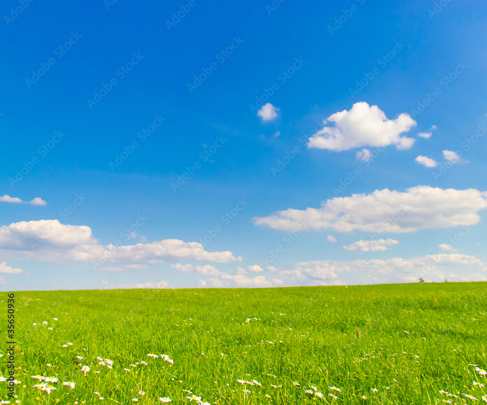 Wallpaper Heavens Field Wallpaper Heavens Field