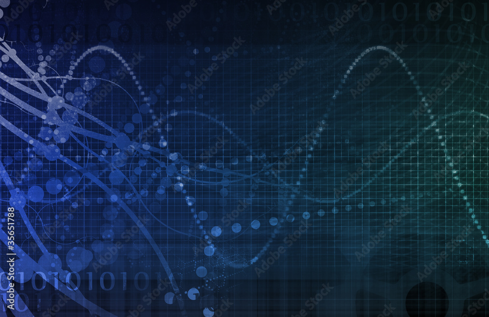 Security Network Security Network