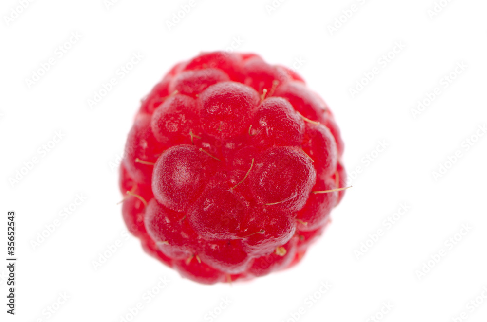 Red raspberry Red raspberry