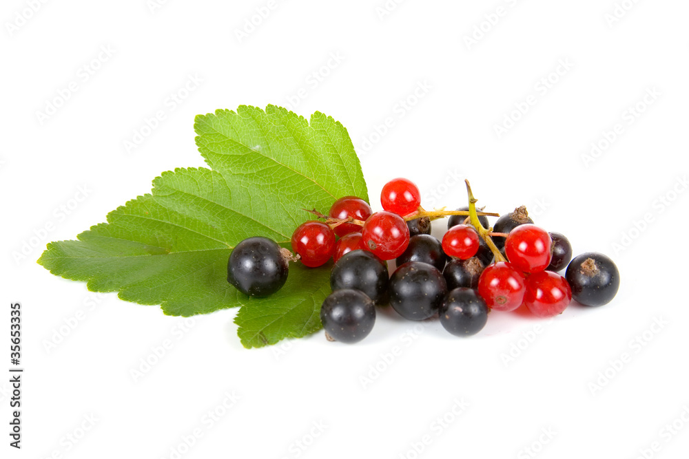 Fresh berries Fresh berries