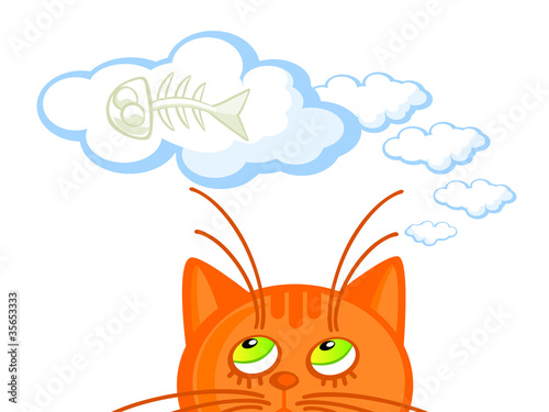 cat dreams