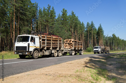 Two cars loaded with wood going down hill © Leonid Ikan