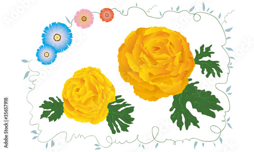 きいろの花たち