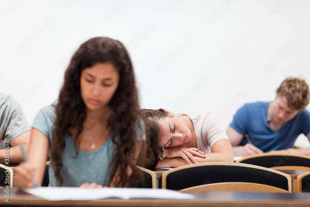 Students working while their classmate is sleeping Students working while their classmate is sleeping