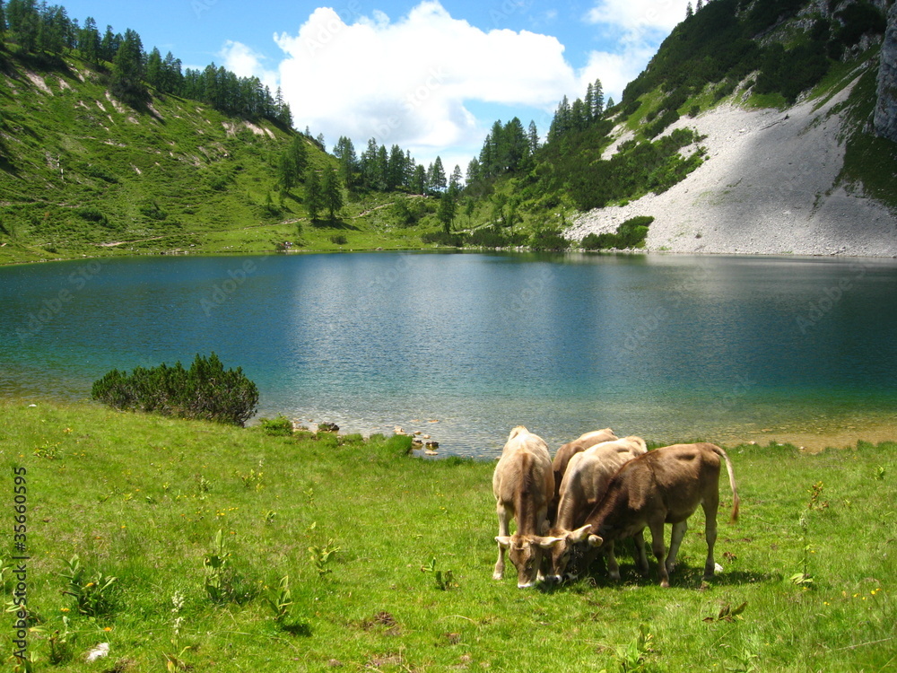 Naklejka premium natur paradies
