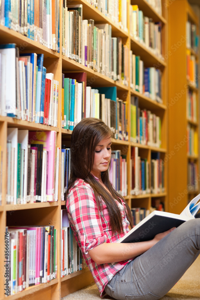 Portrait of a young female student reading a book Portrait of a young female student reading a book