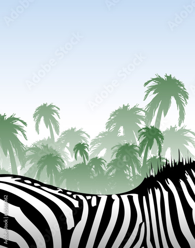 afrika