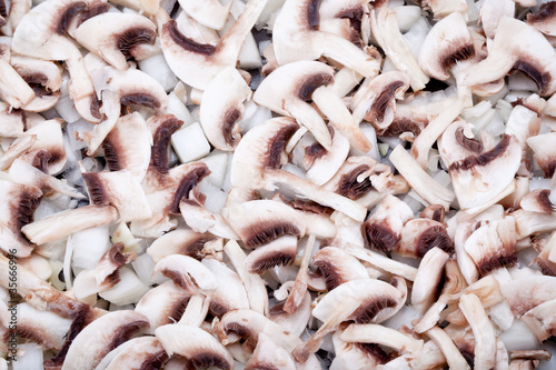 Fresh organic field mushrooms