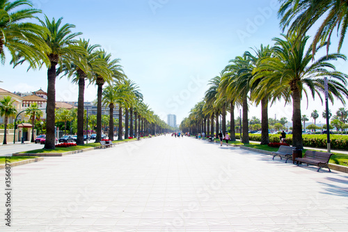 Photo beach boulevard in Salou with palm trees