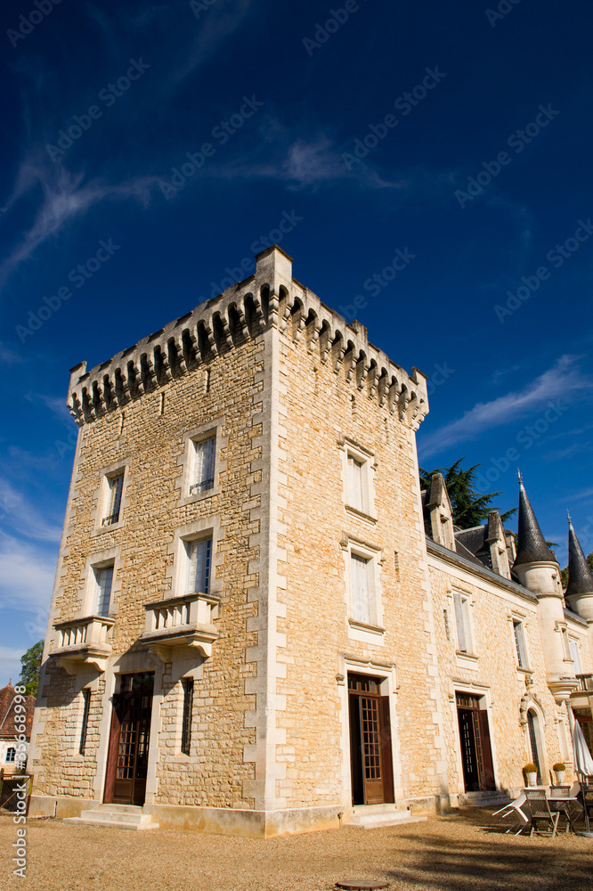 Castle in the French Charente