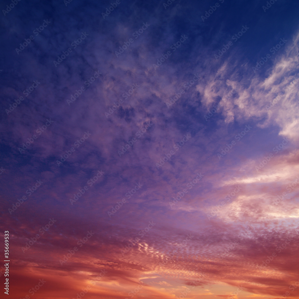 Fototapeta premium sunset background