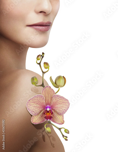 Beaute et Bien Etre Orchidee photo