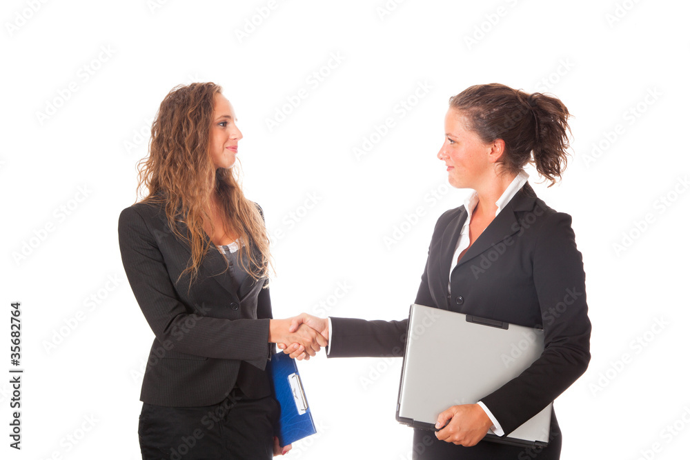 Business Woman Handshake