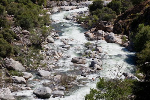 Sequoia National Park photo