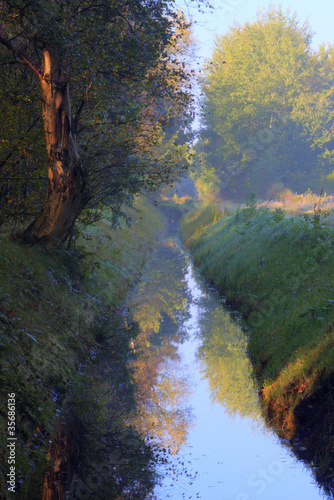 Fototapeta Naklejka Na Ścianę i Meble -  Dead tree on bank of long, straight ditch in autumn