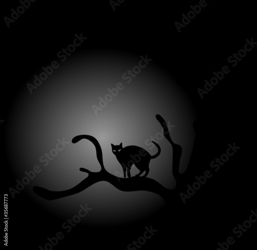 Black cat on tree in moonlight