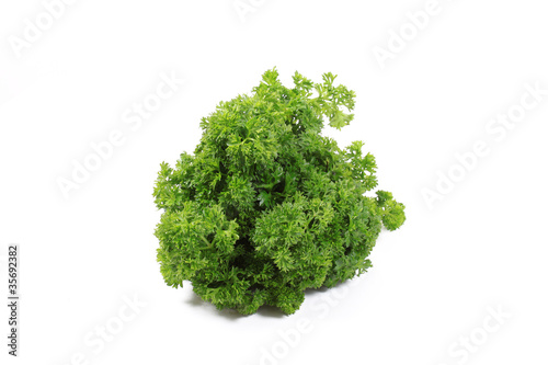 Fresh parsley