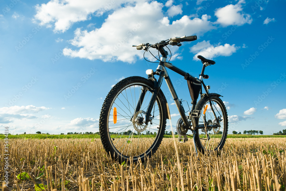 bike bike